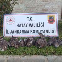 Gündem