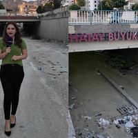 DEFNE