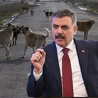 Genel