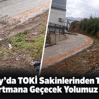 DEFNE