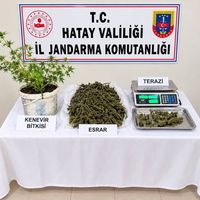 HATAY