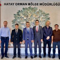 HATAY