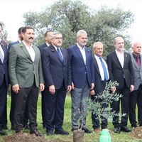 ALTINÖZÜ