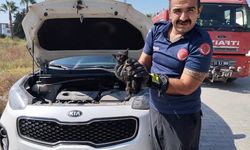 Cipin Motor Kısmına Sıkışan Kedi Yavrusu Kurtarıldı