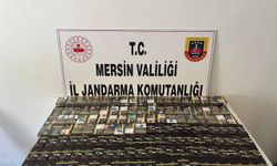 Mersin'de kaçakçılık operasyonunda 2 şüpheli yakalandı