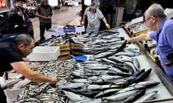 Tezgahlarda palamut, hamsi ve çinekop bolluğu yaşanıyor