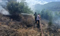 Hatay'da otluk alanda çıkan yangın söndürüldü