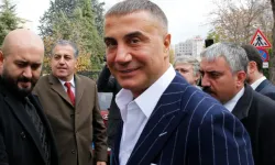 Sedat Peker Parti Kuruyor İddialarına Cevap Geldi