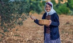 Zeytin Ağaçlarıyla İç İçe Geçmiş Bir Hayat: Antakya’da Atalardan Kalan Miras Yaşıyor