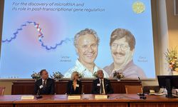 2024 Nobel Tıp Ödülü "microRNA keşfinden" dolayı ABD'li Victor Ambros ve Gary Ruvkun'a verildi