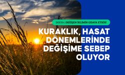 Aşırı sıcaklıkların getirdiği kuraklık ve dengesiz yağışlar tarımsal üretimi etkiliyor