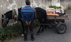 Hatay'da narenciye hırsızlığı yapan kişi yakalandı