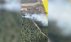 İzmir'de tarım arazisinde çıkıp ormana sıçrayan yangın kontrol altına alındı