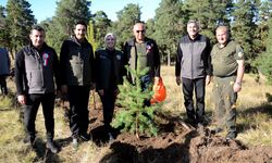 Kars'ta Sarıkamış ve Çanakkale şehitleri anısına hatıra ormanı oluşturuldu