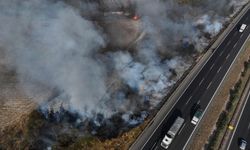 Adana'da ağaçlık alanda çıkan yangın söndürüldü