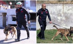 İHH arama kurtarma köpeği ve eğitmeni 122 arama timi arasında birinci oldu