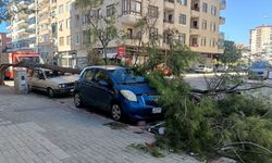 Mersin'de işçilerin kaldığı tesiste çatılar uçtu, 1 kişi öldü, 1 kişi yaralandı