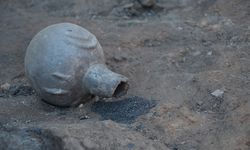 Seyitömer Höyüğü'nde Tunç Çağı'ndan kalma haşhaş ve nohut taneleri bulundu