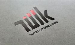 TÜİK, "grid" detayında eğitim istatistiklerini paylaşıma açtı