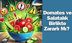 Domates ve Salatalık Birlikte Zararlı Mı? Uzmanlardan Şok Edici Uyarı!