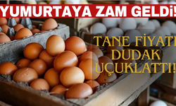 Yumurtaya Üst Üste Zam Geldi: Tane Fiyatı Dudak Uçuklattı!