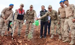 Hatay'da fidanlar toprakla buluşturuldu