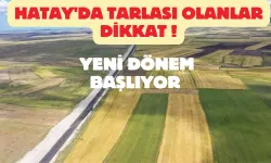 Hatay'da Tarlası Olanlar Dikkat ! Yeni Dönem Başlıyor