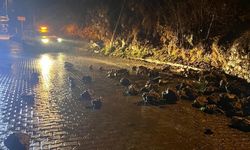 Adana'da yol kenarındaki istinat duvarı yağış sonrası çöktü