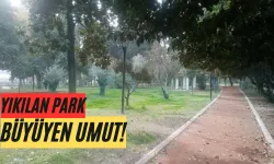 Bir Şehir Yıkıldı, Ama Parkın Sessizliğinde Umut Yeşeriyor