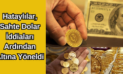 Hataylılar, Sahte Dolar İddiaları Ardından Altına Yöneldi