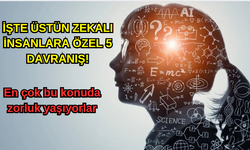 İşte Üstün Zekalı İnsanlara Özel 5 Davranış!