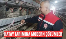 Hatay'da Yumurta Üretimine Tam Destek!