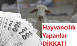 Dikkat: Hayvancılık desteklerine başvurular yarın bitiyor