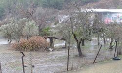 Muğla'da sağanak nedeniyle tarım arazileri sular altında kaldı