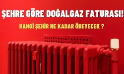 Şehre Göre Doğalgaz Fiyatı! Yeni Sistem Nasıl İşleyecek?