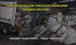 Hastalık Tespit Edildi Ve Hepsi Toplatılıyor