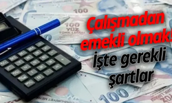 Çalışmadan Emekli Olmak! İşte Gerekli Şartlar