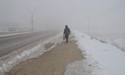 Hakkari'de soğuk hava ve sis etkili oldu