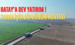 Hatay’da 176 Bin 950 Dekar Araziye Dev Yatırım