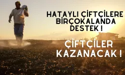 Hataylı Çiftçilere %70 Hibe Desteği !