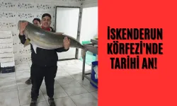 İskenderun Körfezi'nde Tarihi An!  Uzunluğu 1 metre, ağırlığı 50 kilo