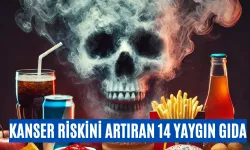 Günlük Hayatta Tüketilen ve Kansere Yol Açan 14 Yiyecek !