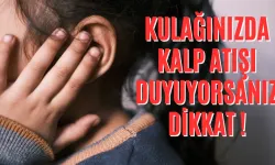 Kulağınızda Kalp Atışı Duyuyorsanız Dikkat: Uzmanlar Uyardı !