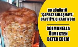 Hatay’ın Vazgeçilmezi Tavuk Dönerde Salmonella Tehditti