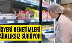 İşyeri Denetimleri Aralıksız Sürüyor