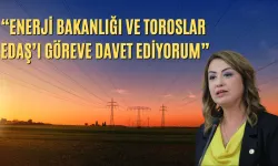 "Enerji Bakanlığı Ve Toroslar Edaş’ı Göreve Davet Ediyorum"