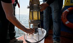 Marmara'nın müsilaj haritası 2021'e dönüş alarmı veriyor