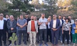 “Hatay’da Ağaçlar Kesiliyor, Doğa Direniyor”