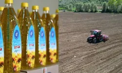 Ayçiçek Yağları Ücretsiz Dağıtılacak! Hataylılar da Aynısını Bekliyor