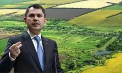 Bakan'dan Tapu Müjdesi